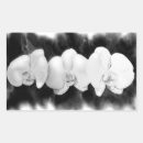 Suche nach weiße orchideen aufkleber Tropisch