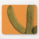 Suche nach lucas mousepads Cabo san lucas