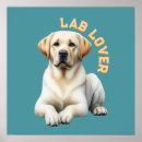 Suche nach doge poster Typografie