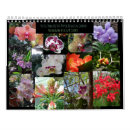 Suche nach botanische kalender Blume