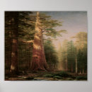 Suche nach trees poster Baum