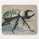 Suche nach wecker mousepads Wald