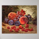 Suche nach himbeere poster Vintag