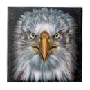 Suche nach eagle fliesen Vögel