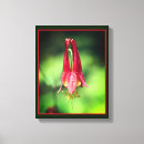 Suche nach wildblumen leinwandbilder Mutter