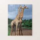Suche nach kruger puzzle Tier