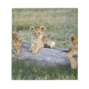 Suche nach leo notizblock Kenia