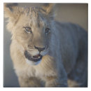 Suche nach wild lebende tiere fliesen Safari
