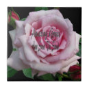 Suche nach lied fliesen Blume