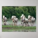 Suche nach laufendes pferd poster Ranch