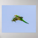 Suche nach rio grande poster Wild