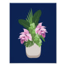 Suche nach elegante orchidee poster Rosa