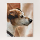 Suche nach jack russell terrier puzzle Niedlich