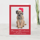 Suche nach grenzterrier Weihnachten