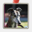 Suche nach windhund schmuck Haustiere
