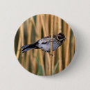 Suche nach vogel abzeichen buttons Tier