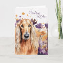 Suche nach hündchen karten Für alle