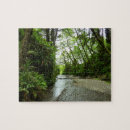 Suche nach farne puzzle Jede person