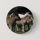 Suche nach fohlen buttons Miniatur