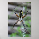 Suche nach spinner poster Digital
