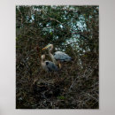 Suche nach familie baum poster Jede person