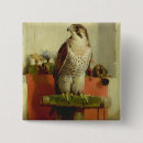 Suche nach falknerei buttons Vogel