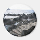 Suche nach teneriffa magnete Spinnen