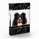 Suche nach texture fototafeln Jede person
