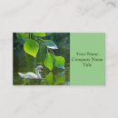 Suche nach teiche visitenkarten Jede person