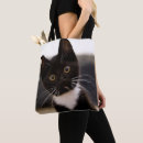 Suche nach tuxedo taschen Kätzchen