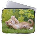 Suche nach lustige spiele laptop schutzhüllen Katze