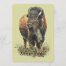 Suche nach bison einladungen Tier