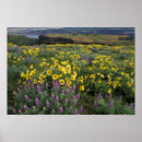 Suche nach wildflower painting poster Season