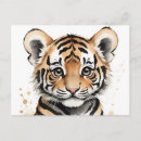 Suche nach junges tier postkarten Tiger