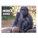 Suche nach gorilla kalender Zoo
