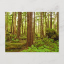 Suche nach zeder postkarten Jede person