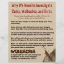 Suche nach die vögel flyer Für alle