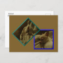 Suche nach chihuahua postkarten Jede person