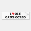 Suche nach cane corso haustier wohnen zuhause Hunde