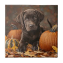 Suche nach herbstlaub fliesen Jede person