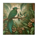 Suche nach tropischer vogel fliesen Natur