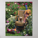 Suche nach yorkie welpen poster Yorkies