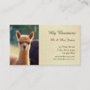 Suche nach haustierpflegen visitenkarten Jede person