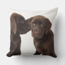 Suche nach labrador welpe kissen Baby
