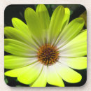 Suche nach yellow untersetzer Blumenreich