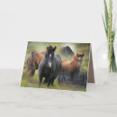 Suche nach schöne pferde karten Western