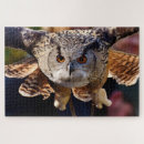 Suche nach ochse puzzle Für alle