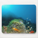 Suche nach anemone mousepads Tiere