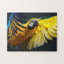 Suche nach ara puzzle Vogel