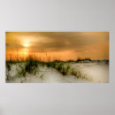 Suche nach möwen poster Fotografie